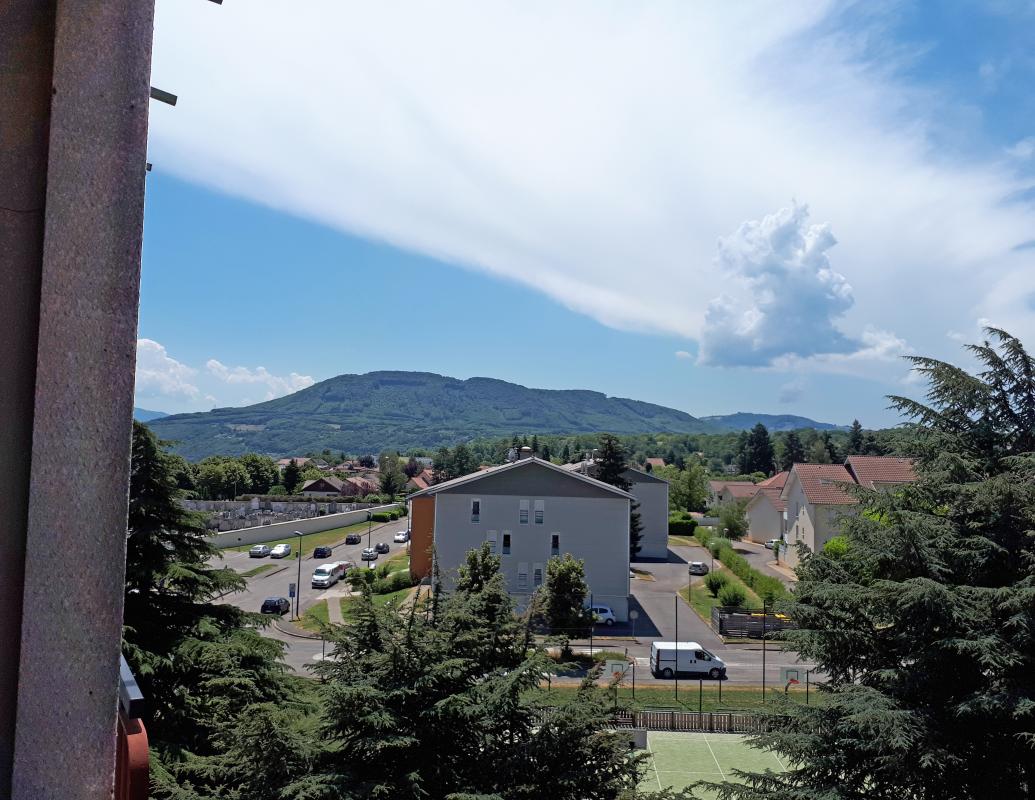 Photo d'un Appartement en location à RIVES (38140)