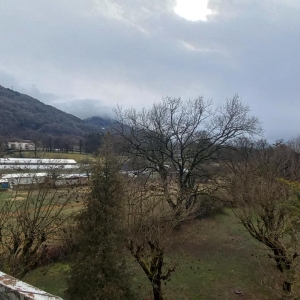 Photo d'un Appartement en location à VILLARD BONNOT (38190)